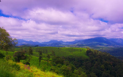 Anamalai Hills Trek