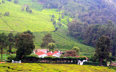 Ooty