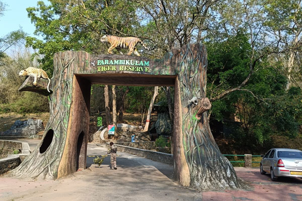 Wildlife Tour Package
